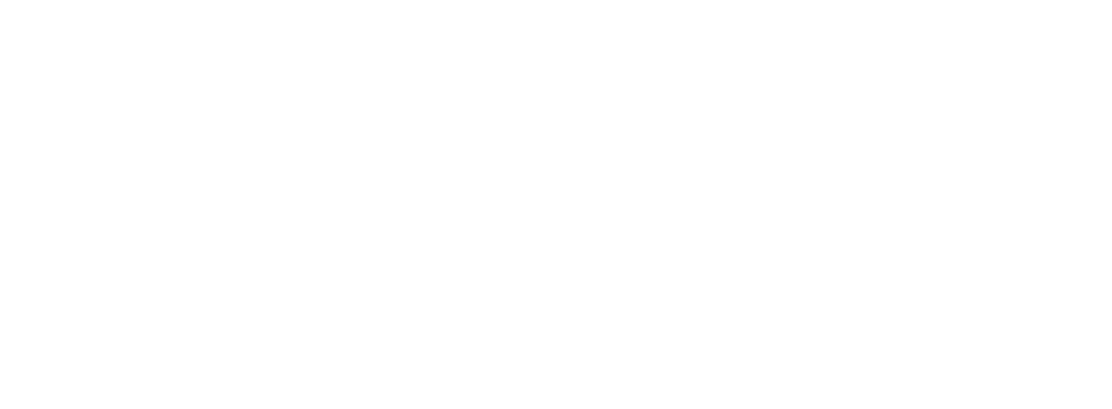 Lead white logo